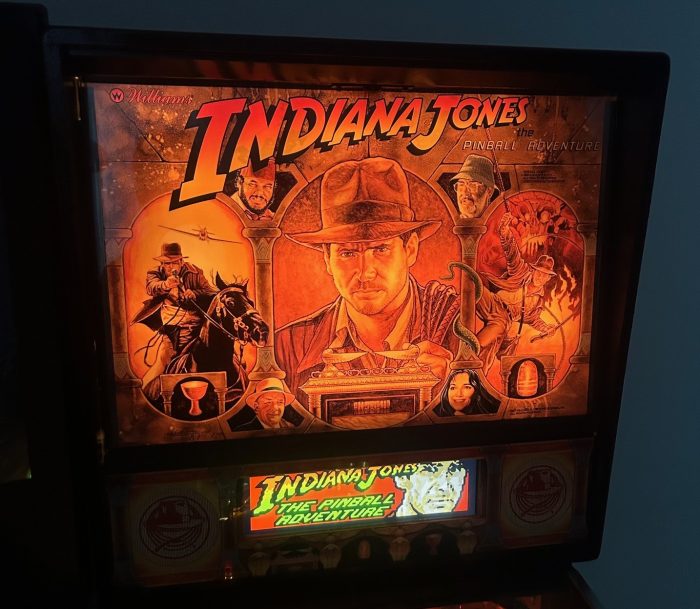 indiana jpnes pinball adventure