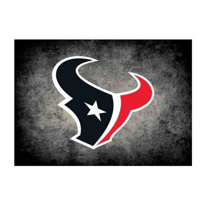 Houston Texans Distressed Rug Multiple Sizes - Image 2