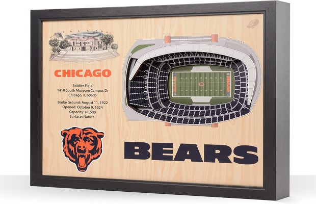 Chicago Bears NFL 25-Layer Stadium View Wall Art