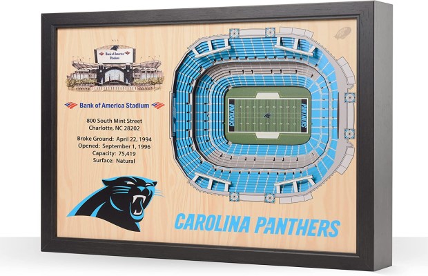 Carolina Panthers NFL 25-Layer Stadium View Wall Art