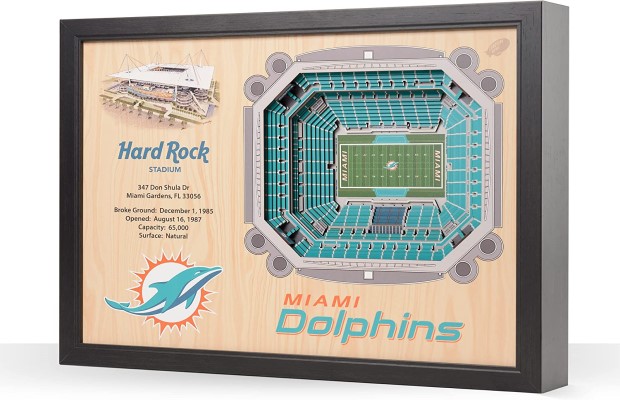 Miami Dolphins NFL 25-Layer Stadium View Wall Art