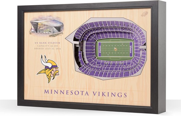 Minnesota Vikings NFL 25-Layer Stadium View Wall Art