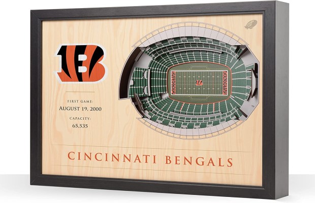 Cincinnati Bengals NFL 25-Layer Stadium View Wall Art