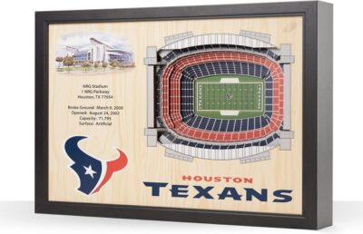 Houston Texans NFL 25-Layer Stadium View Wall Art