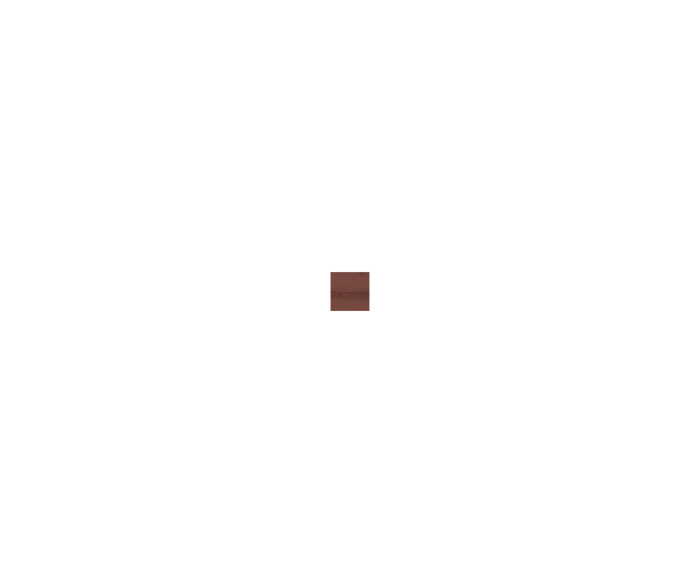 Chocolate Swatch.png 19