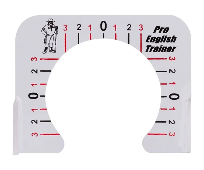 Pro English Trainer by The Drill Instructor - Image 2